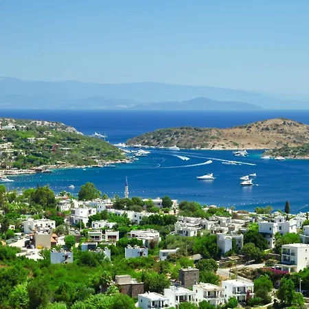 Vilă Turkbuku Luxury Seaview Dublex Wpool & Terrace
